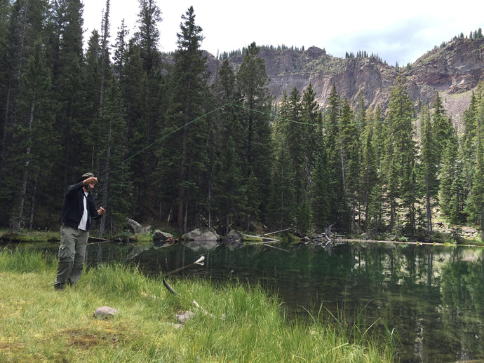 Fly Fishing and the Brain