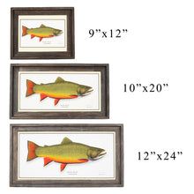 Load image into Gallery viewer, Brook Trout