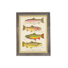Load image into Gallery viewer, Classic American Trout