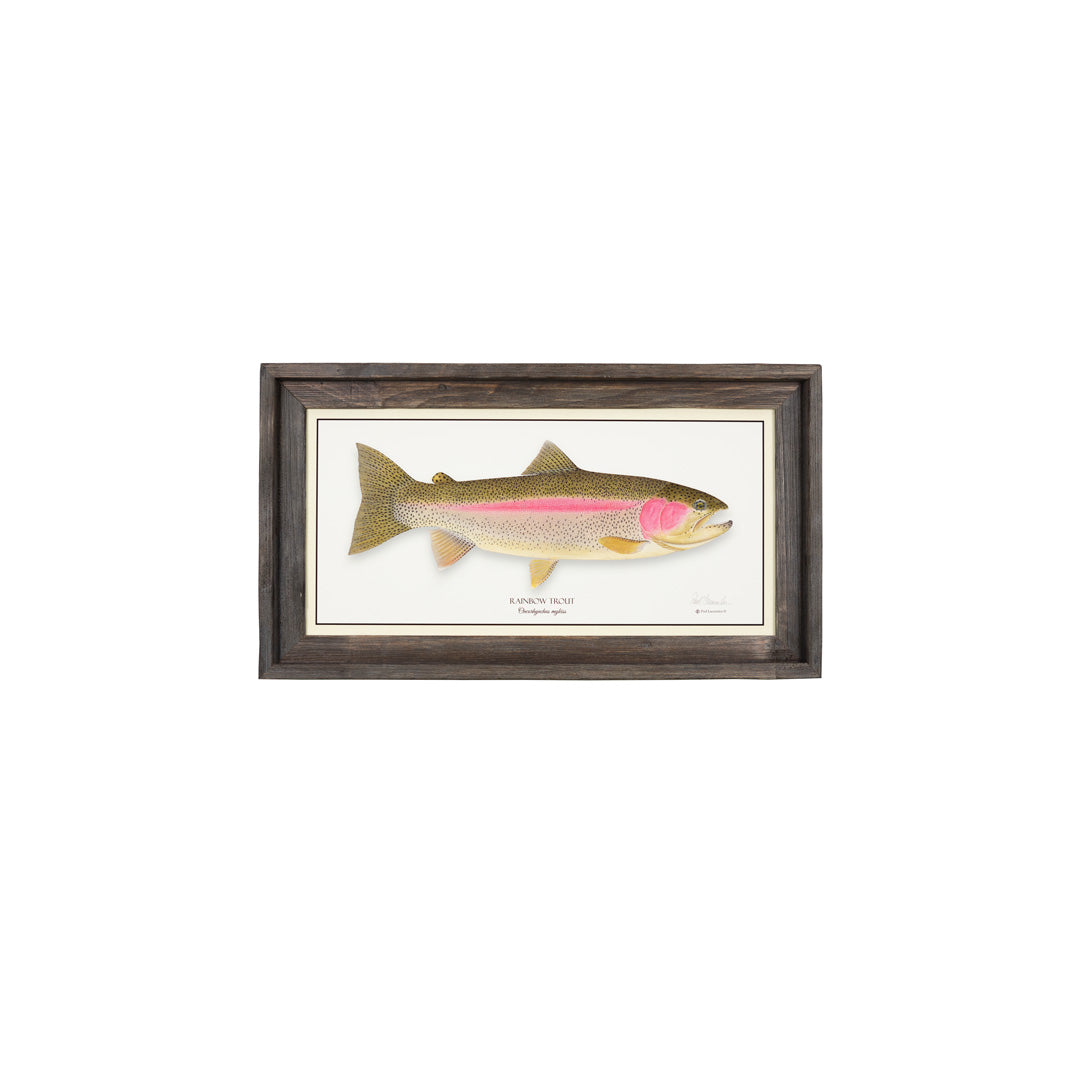 Rainbow Trout Fish - Laser Cut Out Unfinished Wood Shape Craft Supply •  Cosmic Frogs Vinyl
