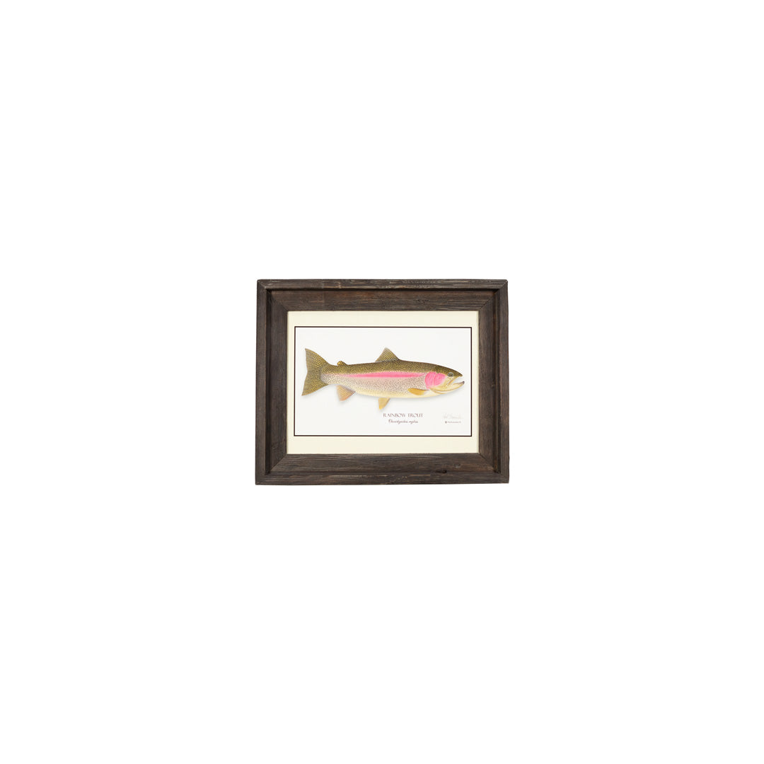 Fish 1-Image Barnwood Picture Frames