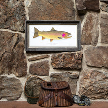 Load image into Gallery viewer, Yellowstone Cutthroat Trout