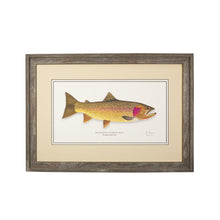 Load image into Gallery viewer, Yellowstone Cutthroat Trout