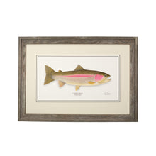 Load image into Gallery viewer, Rainbow Trout