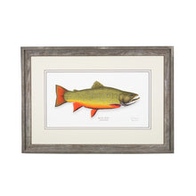 Load image into Gallery viewer, Brook Trout
