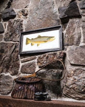 Load image into Gallery viewer, Brown Trout
