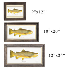 Load image into Gallery viewer, Brown Trout
