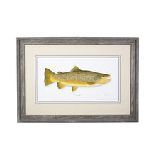 Load image into Gallery viewer, Brown Trout
