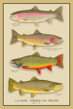 Load image into Gallery viewer, Classic American Trout
