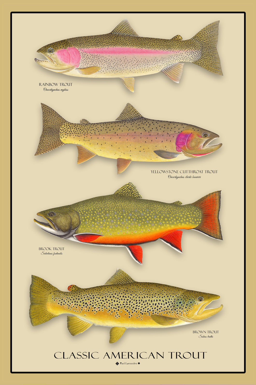 Classic American Trout
