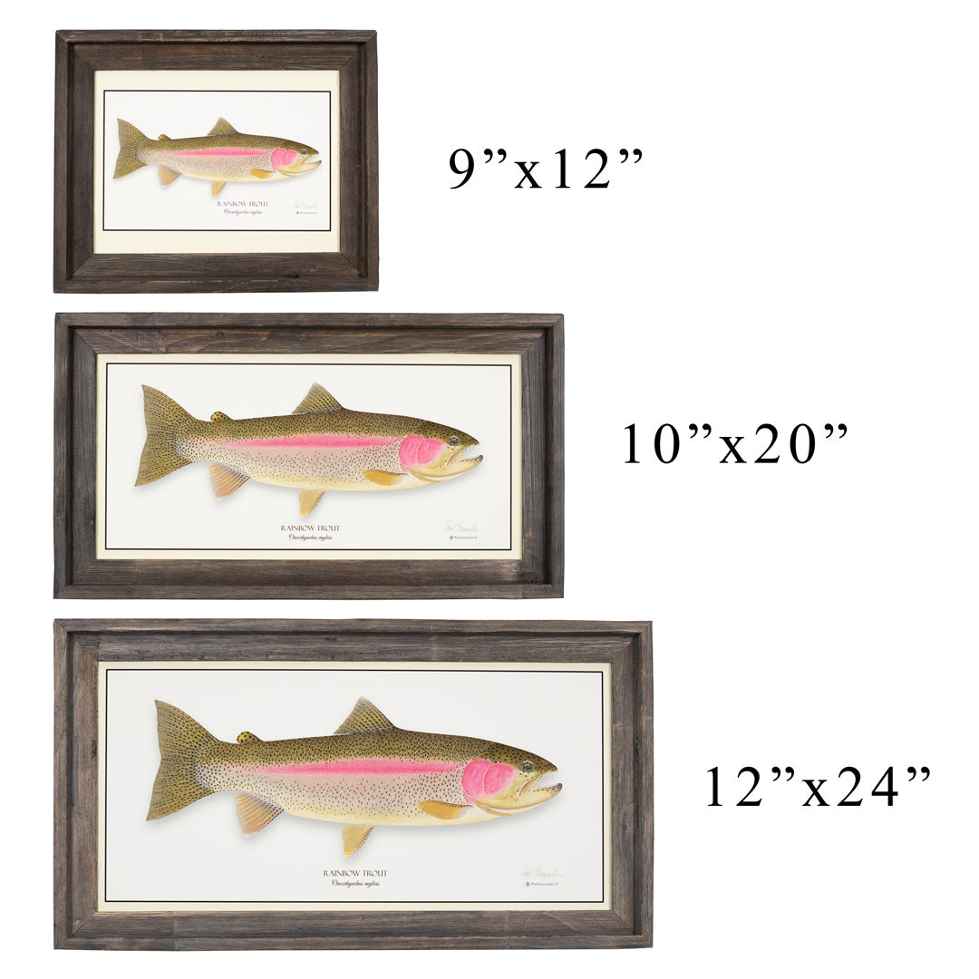 Trout Fishing Cross-Section, Wyoming (9x12 Wall Art Print, Home Decor) 