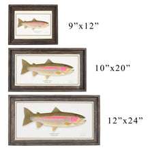 Load image into Gallery viewer, Rainbow Trout
