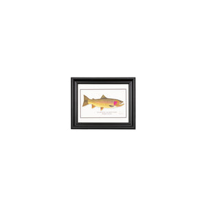 Lake Trout Fish Print, Vintage Fishing Poster Wall Art Decor