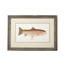 Load image into Gallery viewer, Rainbow Trout
